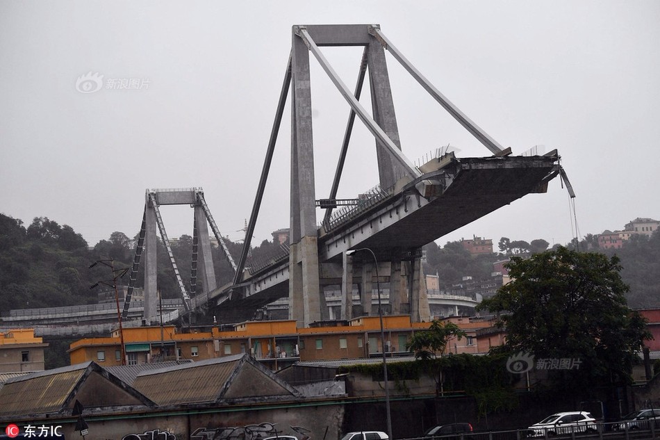 P9J5-hhtfwqr0855624.jpg P9J5-hhtfwqr0855624.jpg